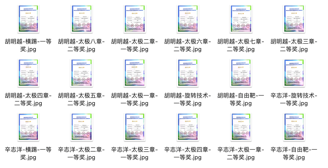跆拳道项目获奖证书 跆拳道项目获奖证书