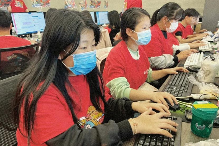 双十一 洛科电商 洛科 电子商务