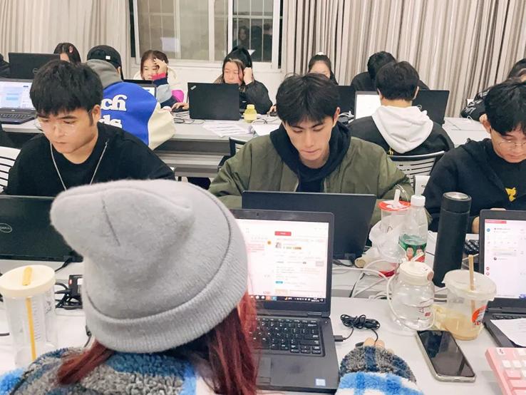 双十一 洛科电商 洛科 电子商务