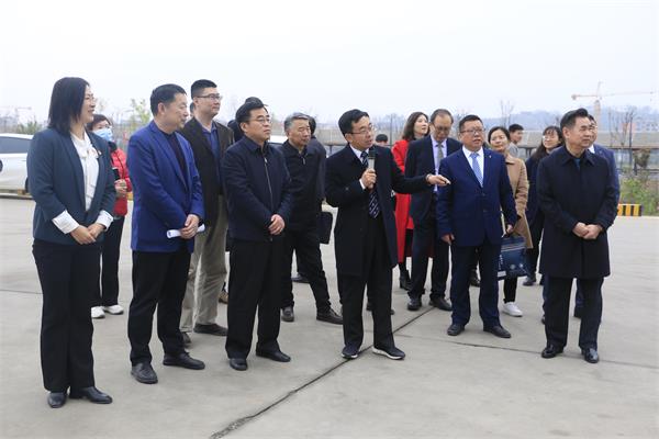 1617169845427297.jpg 600.1.jpg