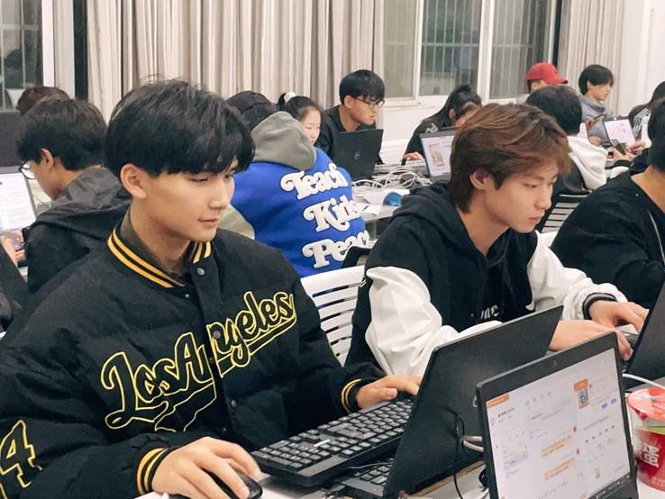 双十一 洛科电商 洛科 电子商务